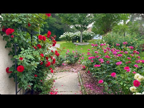 Rose Garden Tour - Spring 2024