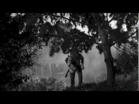 Adam Neely x Justina Soto - Come Wander With Me