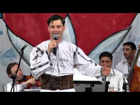 Cristian Fodor - Vino iute primăvară