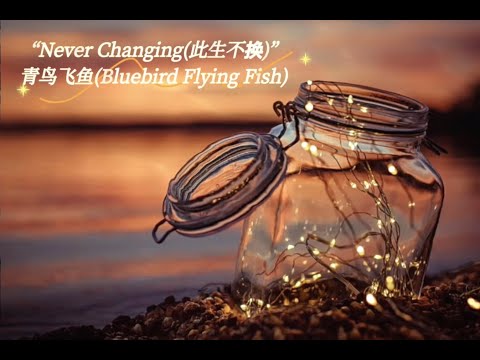 此生不换(Never Changing) - 青鸟飞鱼(Bluebird Flying Fish) [Chinese + English Lyrics]