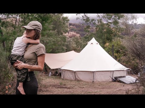 One year alone in the woods 🏕️ Solo Mom leaves everything behind to recover an abandoned farm