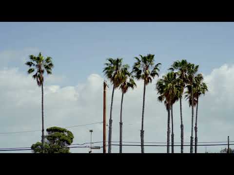 The Beach Blonde (2025) - Teaser