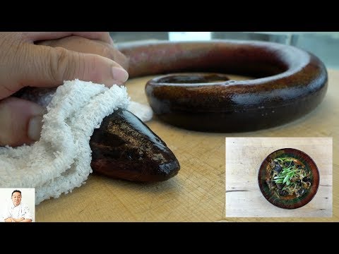 download lagu mp3 mp4 Graphic Recipe, download lagu Graphic Recipe gratis, unduh video klip Graphic Recipe