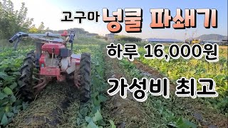 무성한 고구마 줄기 초토화 16.000원이면 해결  고구마 넝쿨파쇄기