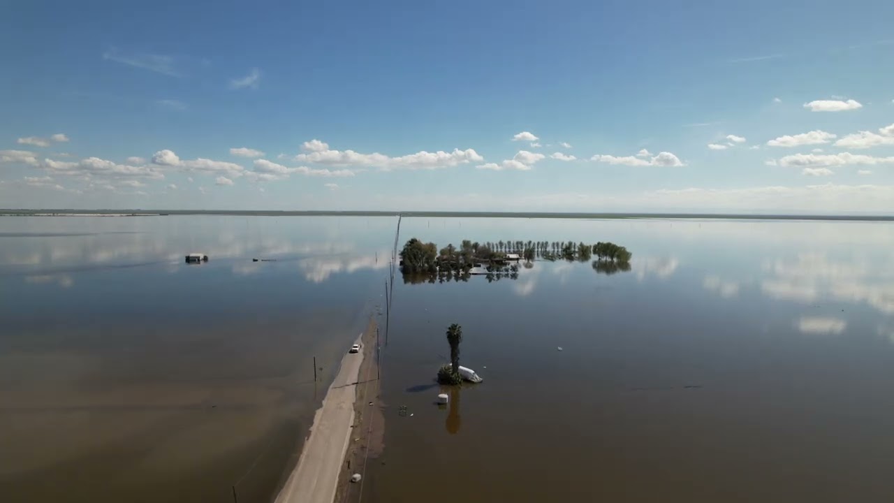 youtube video id=Ny1seXtQ3Qw