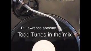 todd edwards tunes in the mix