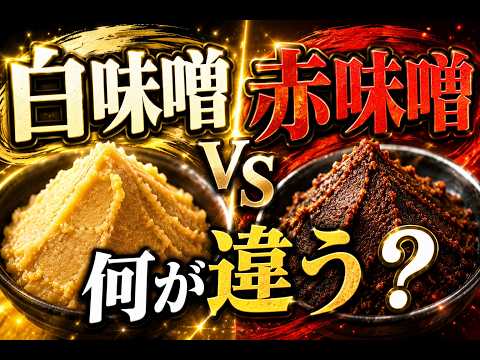 味噌の色の違い｜白味噌と赤味噌を分ける「時間と手間」の秘密