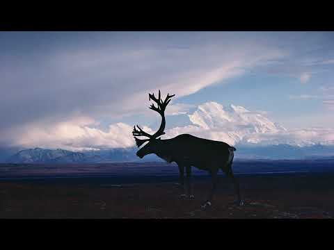 Cwm Rhondda  -  ONLY MEN ALOUD