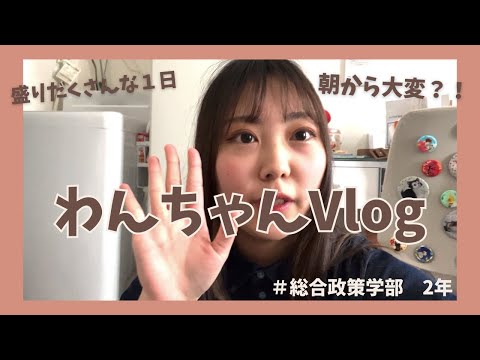 総合政策学科 【津田塾生Vlog】わんちゃんの１日
