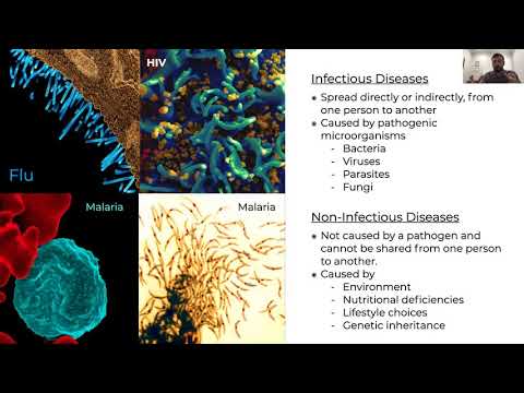 Session 1 - Bioinformatics for Infectious Diseases: Next Generation Sequencing