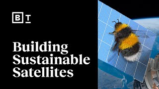 We need sustainable space tech. One solution - bees? | Danielle Wood | Big Think
