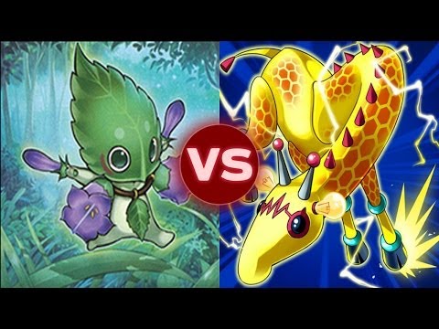 Top Rated DN Duels - Sylvans vs. Thunder Family (full match)