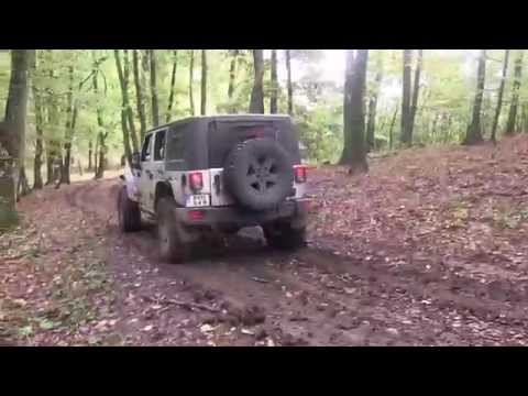 Salaj - Padurea de stejari