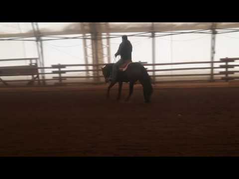 VS Code Red 2 Year Old Lead Changes