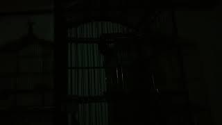 Download lagu crecetan kutilang vs suara burung kecil ribut cocok untuk pikat burung mp3