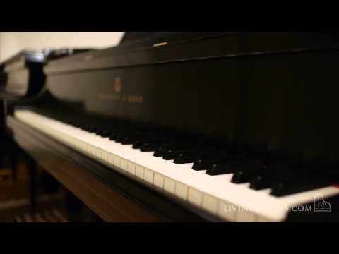 Steinway Concert Grand Piano - Steinway Model D for Sale - Living Pianos - Robert Estrin