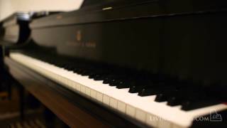 Steinway Concert Grand Piano - Steinway Model D for Sale - Living Pianos - Robert Estrin