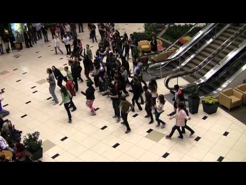 Flash Mob at Twelve Oaks Mall
