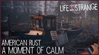 A Moment of Calm - American Rust