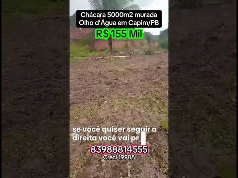 VENDO chaça em olho d’Água município de capim PB com meia hectares por 155 mil zap 8398881555