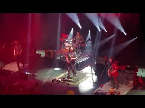 Pigeons Playing Ping Pong - Melting Lights ~ Live It Up 1 26 2019 Port Chester, NY