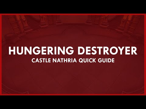 QUICK guide to Normal/Heroic HUNGERING DESTROYER | Castle Nathria Quick Guides