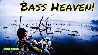 Hobie Kayak fishing on Lake Naconiche with RLM Fishing!