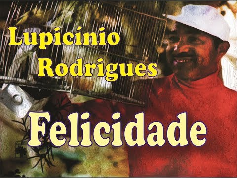Felicidade video