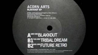 Acorn Arts - Blakkout