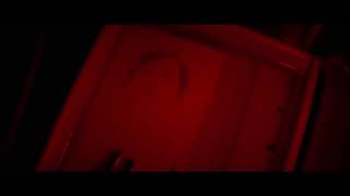 The Mountain Goats - Your Belgian Things [Live]