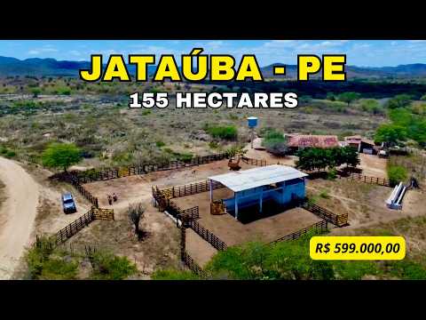 155 HECTARES por R$ 599 mil | FAZENDA em JATAÚBA PE!