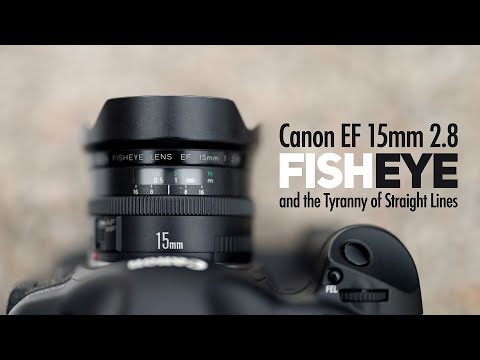 Video thumbnail for Video Review 3