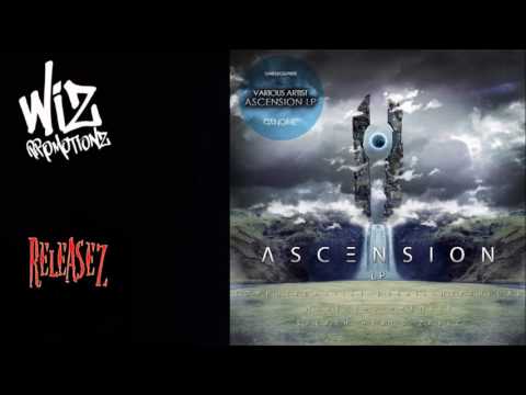 Splash Heads - Sunstrider [Genome Rec]