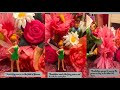 Thumbelina Cellphone Fairytale Chapter 4