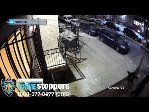 NYC Brooklyn Violent Attack