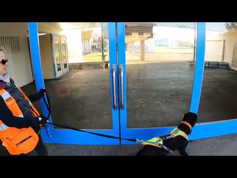 Hazel passiert Türe bei Sekundarschule Embrach 2023 02 14