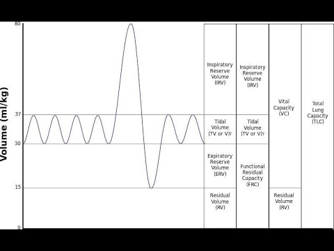 Pulmonary function tests