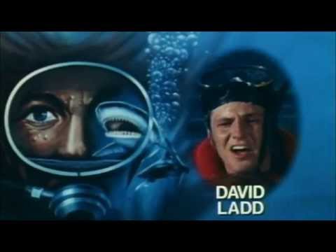 Video $The Treasure of Jamaica Reef