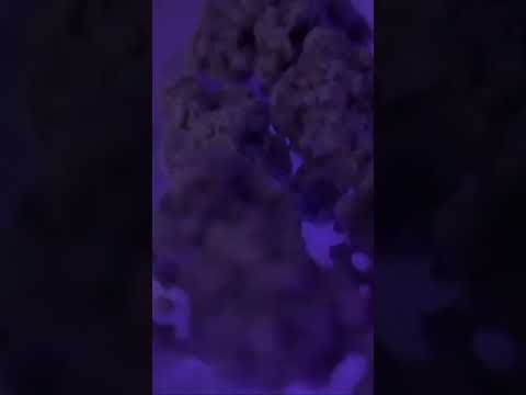 RICO M.O.B - I’m Good