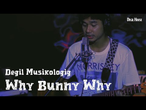 DEGIL MUSIKOLOGIG - WHY BUNNY WHY (Live Session) #cut #promnight #tragis #whybunnywhy