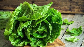 Dr. Oz On The 2018 E. Coli Outbreak Linked to Romaine Lettuce