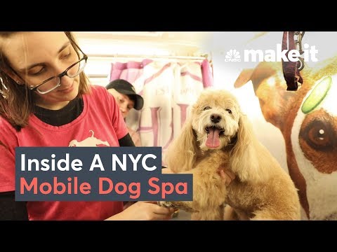 What It Takes To Run A Dog Grooming Business In NYC