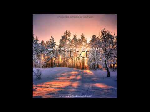 Winter Scenes - Take Three (Drum & Bass Mix January 2017)