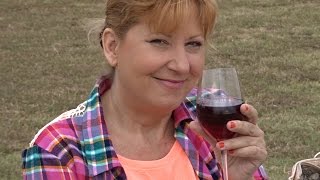 preview picture of video 'Blue Ostrich Winery & Vineyard - St. Jo, Texas'