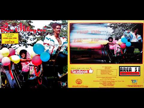 Milagros Hernandez - La hoguera de tus años