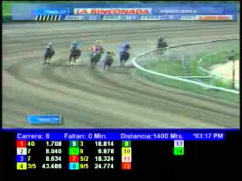 8VA CARRERA DOMINGO 29 ABRIL LA RINCONADA COPA MY OWN BUSSINES AUDIOHIPISMO