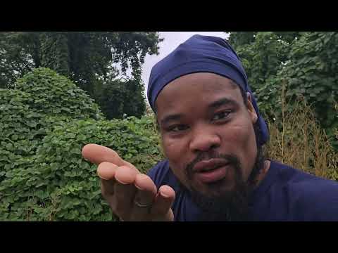 Charlie kirk shot at utah valley University. White male suspect caught.