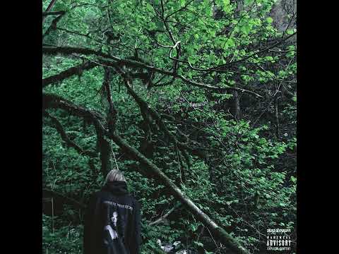 [FREE FOR PROFIT] PHARAOH x COLDSIEMENS x WHITE PUNK TYPE BEAT