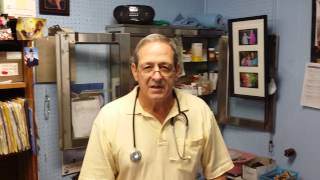 Veterinarian Glenn Hutchinson, DVM Talks About Snow Creek Jack Russell