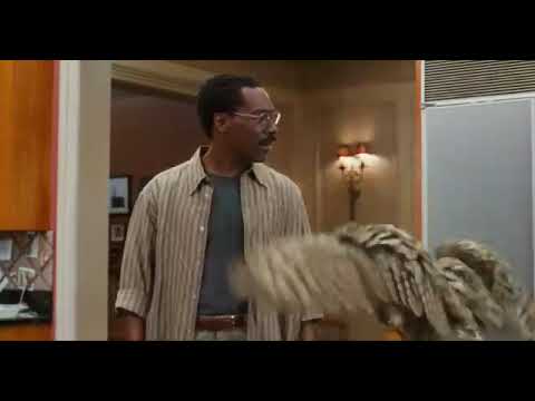 Dr dolittle 1998 animals scene